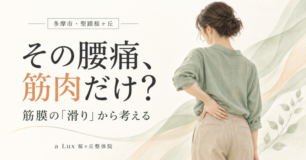腰痛と筋膜の滑りの関係｜多摩市・聖蹟桜ヶ丘の整体｜多摩市・聖蹟桜ヶ丘の整体院が解説