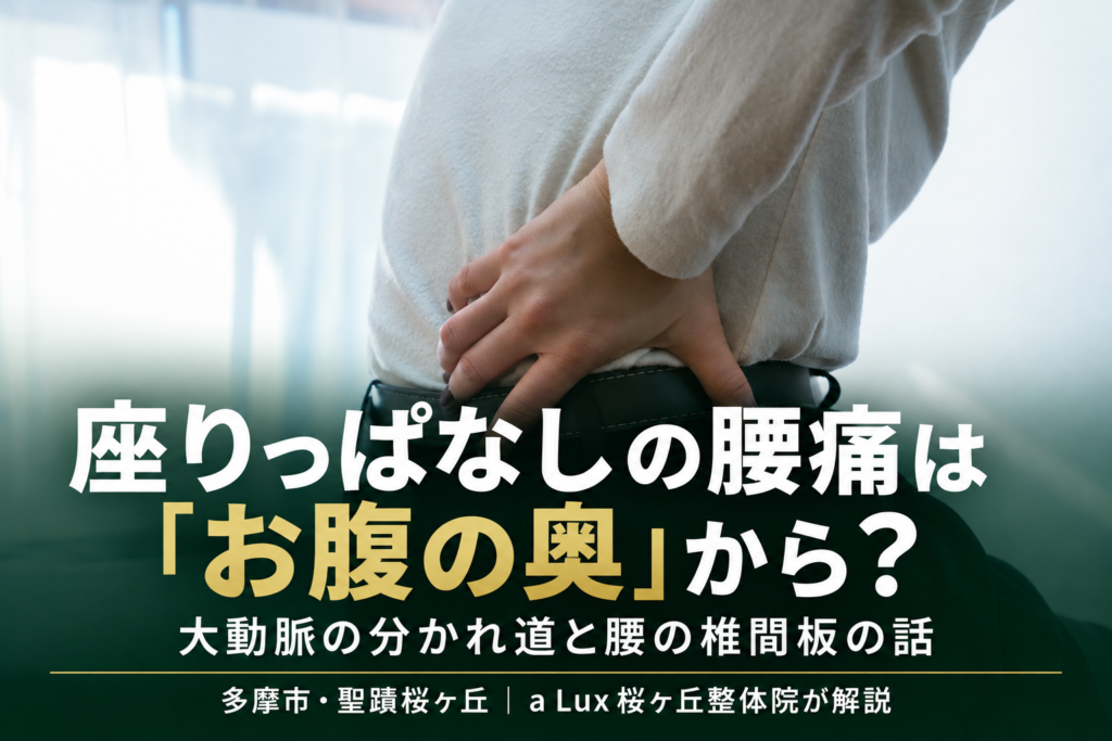 腰痛とむくみ・呼吸の浅さはつながっている？腰の奥のリンパ「乳び槽」と横隔膜の話｜多摩市・聖蹟桜ヶ丘の整体院が解説